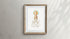 vintage squid print wall art